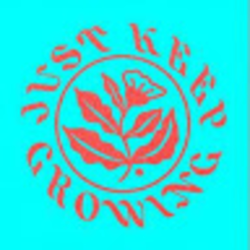 Meet your Posher, Ashlie